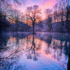 Meet your Posher, Rose